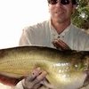 Dan Morey Erie Channel Catfish