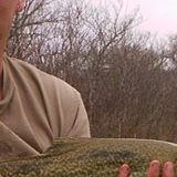 20 in tiger trout fisherie.JPG
