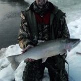 29" Elk Steelhead