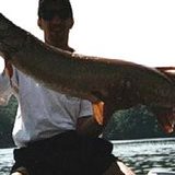 49" PA muskie