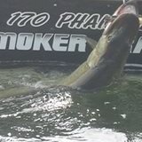 48" musky