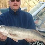 Dave PC walleye