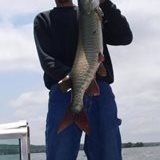 44" PA muskie