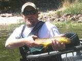 Green River Brown 20"+/-