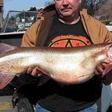 27lbs 49in allegheny river.jpg