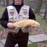 palomino caught in april 07.jpg