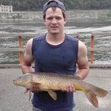 allegheny river carp