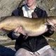 Dan Morey Channel Catfish